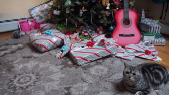 Guarding the gifts..