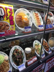 Plastic Japanese food